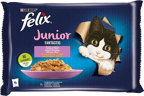 Actual product image Felix Fantastic Junior (Junior, 4 pcs., 340 g)