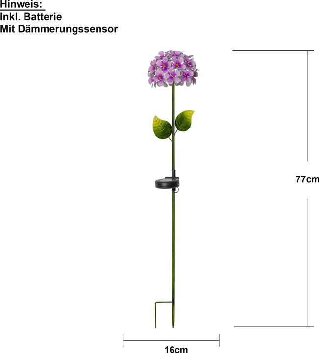 Produktbild Star Trading Hortensia (IP44)