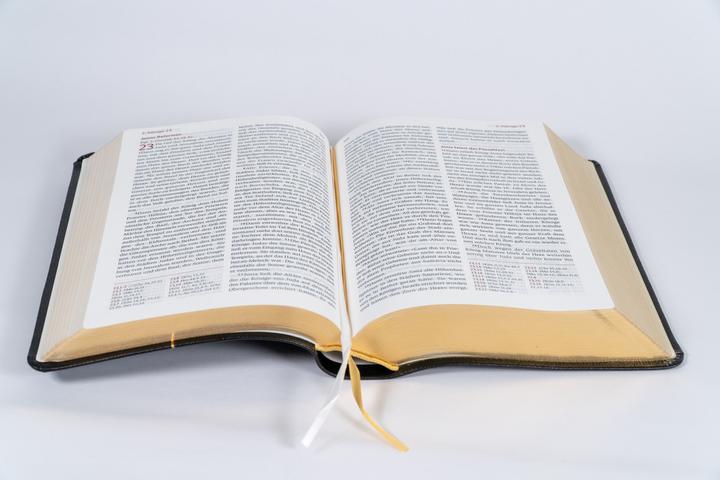 Produktbild Neues Leben. Die Bibel, Standardausgabe, Leder mit Goldschnitt (Deutsch, 2025)