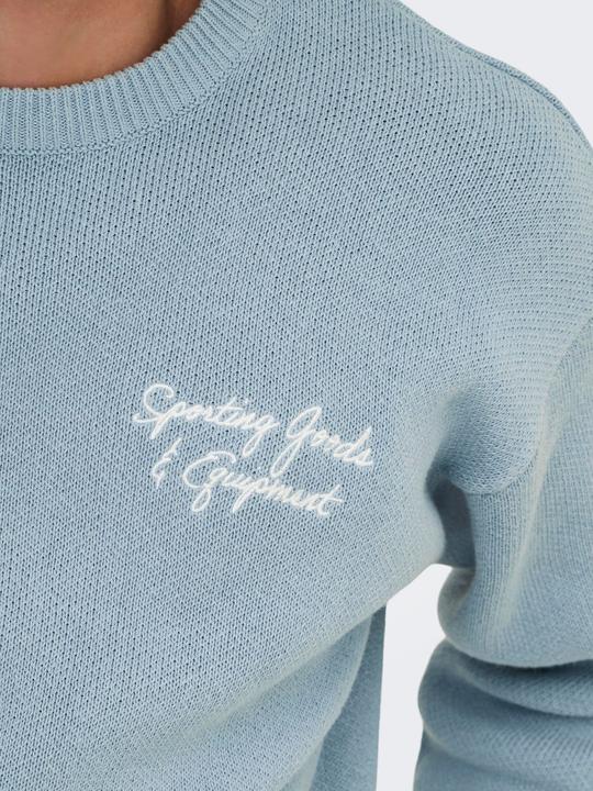 Produktbild Only & Sons ONSGABIR Pullover Strickpullover (XL)