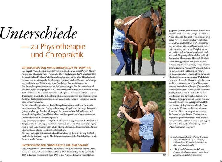 Actual product image Kosmos Osteopathie für Pferde (German, Irina Keller, Beatrix Schulte Vienna, 2023)