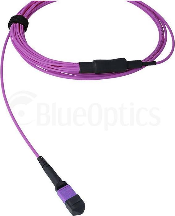 Actual product image BlueOptics Fibre optic MTP/8xSC duplex breakout cable OM4 3 metres (3 m)