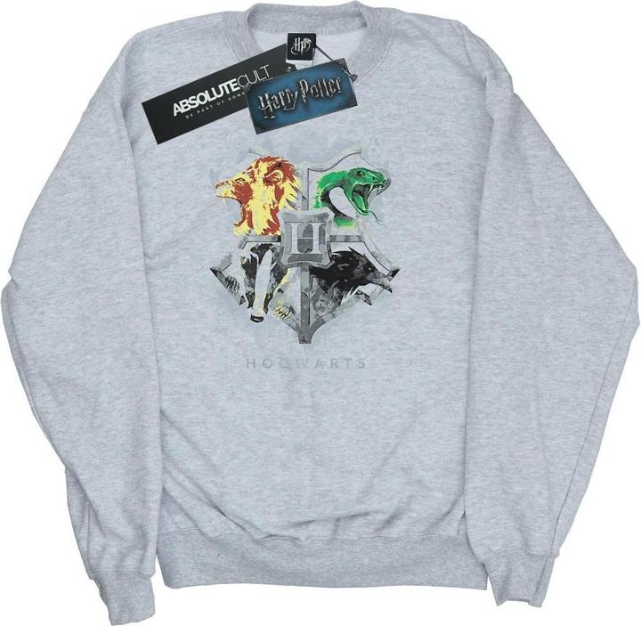 Hogwarts Painted Crest Sweatshirt