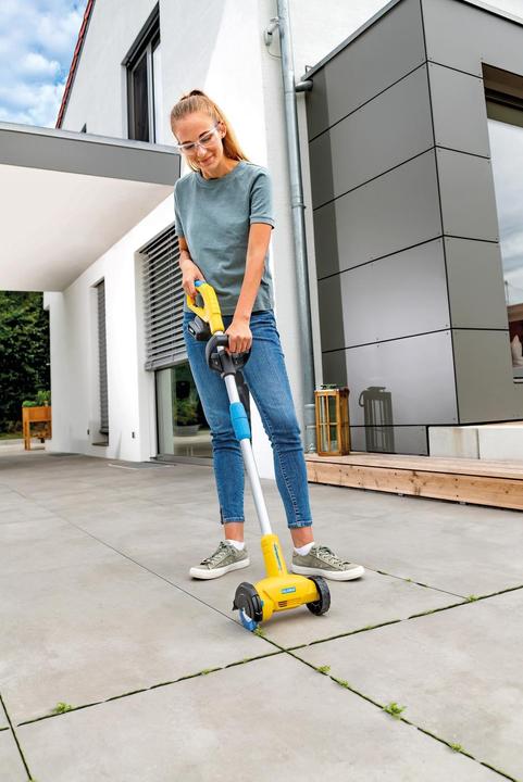 Produktbild Gloria Haus und Garten Weed Brush li on