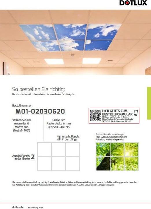 Actual product image Dotlux DOTL motif plate