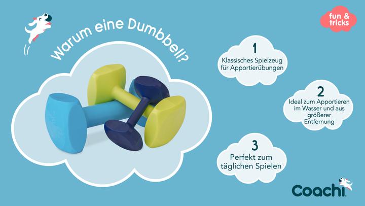Image du produit Company of Animals Coachi Training Dumbbell (Apporter)