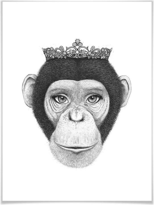 Actual product image Trenddeko The Queen Monkey (60 x 80 cm)