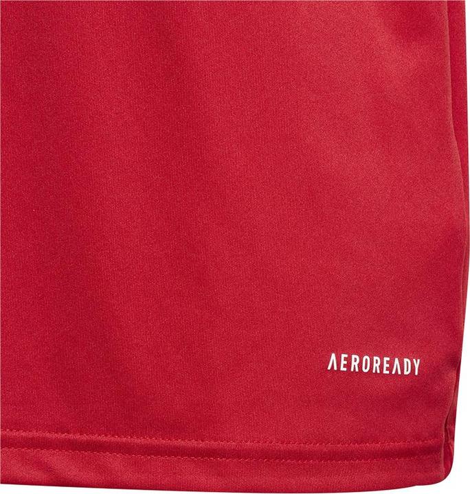 Image du produit adidas FORTORE23 JSY Y (116)
