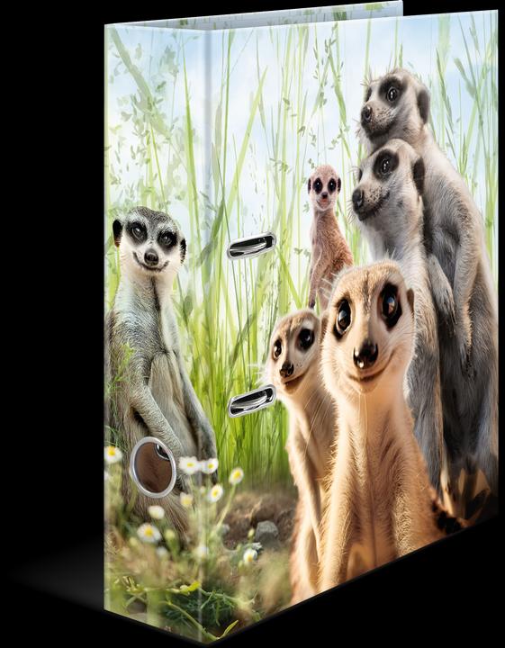 Immagine prodotto Herma Meerkat (A4, 70 mm, 1 Pezzo/i)