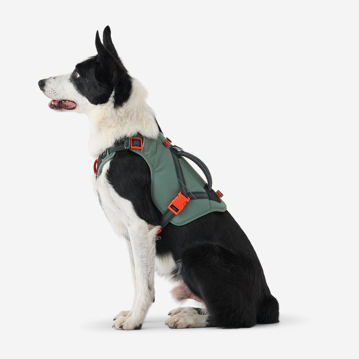 Immagine prodotto Caperlan Hundegeschirr Wandern (S, Cane)