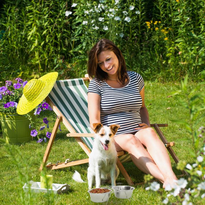 Immagine prodotto Relaxdays Ciotola per cani set doppio (0.40 l)