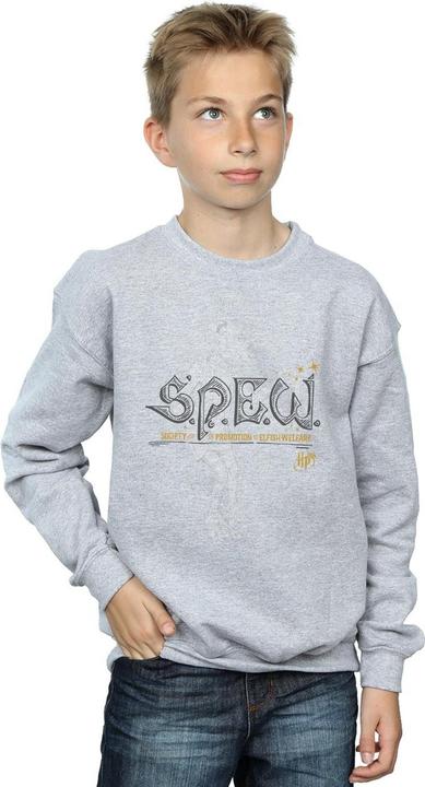 Actual product image Boys Dobby Elfish Welfare Sweatshirt (116)