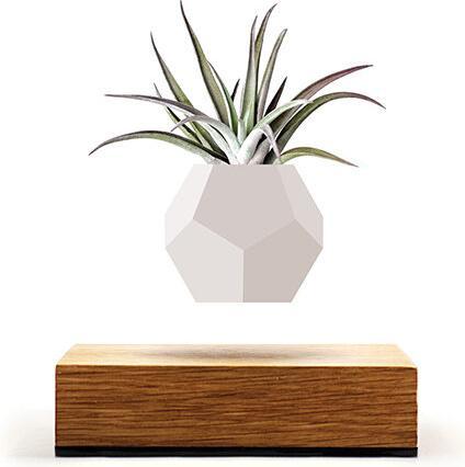 Produktbild Flyte LYFE Planter (154 cm)