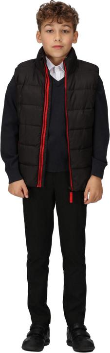 Actual product image Regatta Childrens/Kids Scholar Thermal Body Warmer (116)