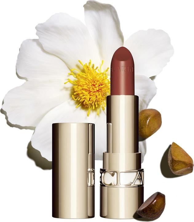 Produktbild Clarins Joli Rouge Satin No 737 (Nr. 737 - Spicy Cinnamon)