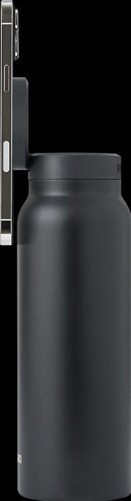 Image du produit Ringo Regular (0.71 l)