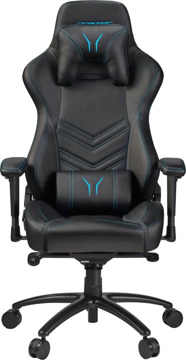Actual product image Medion ERAZER X89410 Gaming Chair