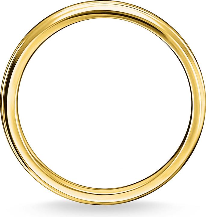 Actual product image Thomas Sabo Ring ornaments gold (60, 925 Silver)