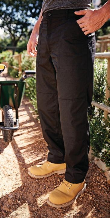 Actual product image Regatta New Lined Action Pants Standard Leg Length (W42)