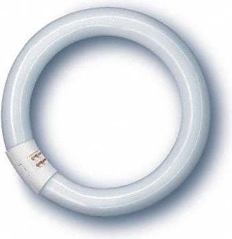 Actual product image Osram Fluorescent tube (G10q, 22 W, 1350 lm, 1 x, G)