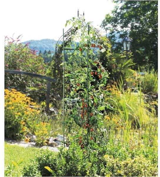 Actual product image Windhager Tomato tower (30 cm, 30 cm)