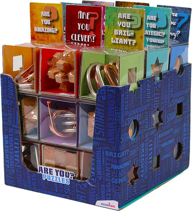 Immagine prodotto Recent Toys Giochi di puzzle in metallo/legno (27) (9 pezzi)
