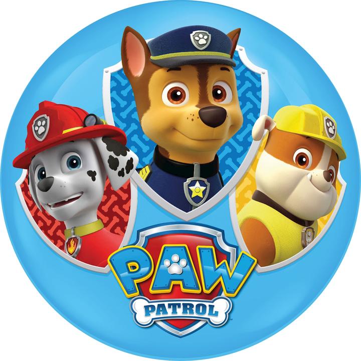Actual product image John Light Up Paw Patrol