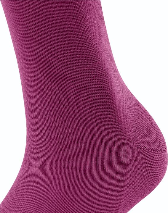 Actual product image Falke Family SO (Single pack, 39 - 42)