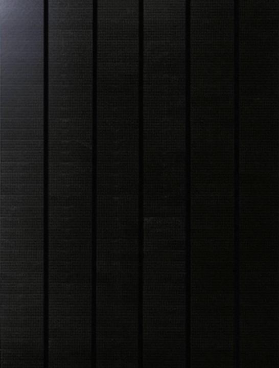 Immagine prodotto Phaesun Moduli solari incorniciati Sun Pearl (100 W, 9 kg)
