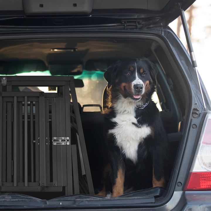 Actual product image Relaxdays Dog box (Dog, Lockable)
