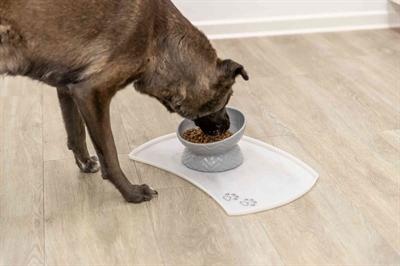 Image du produit Trixie Verhoogde Voerbak / Waterbak Keramiek Grijs - 350 ml 17 Cm