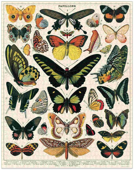 Productafbeelding Cavallini Vlinders Vlinders (1000 onderdelen)