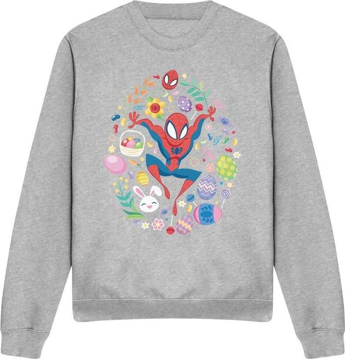 Produktbild Spiderman Sweatshirt (M)