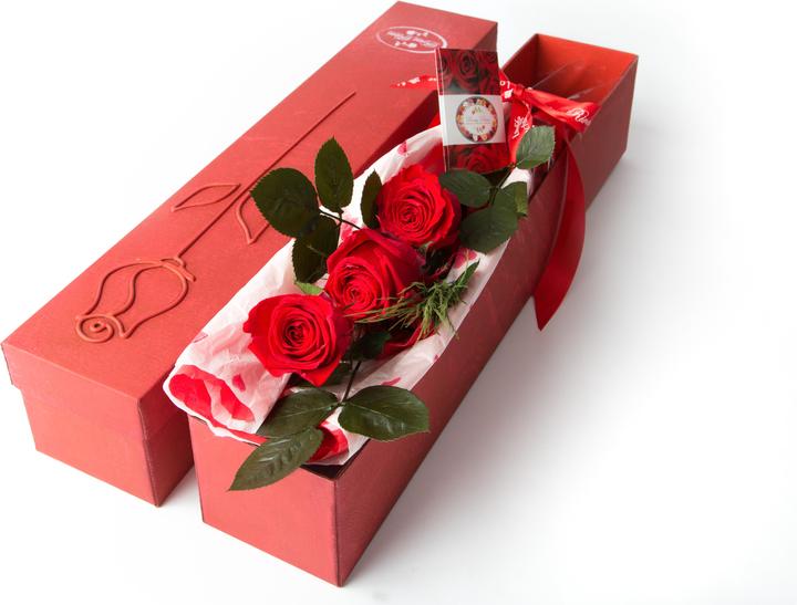 Rosas Rivas Rose Premium 3 boutons (56 cm)