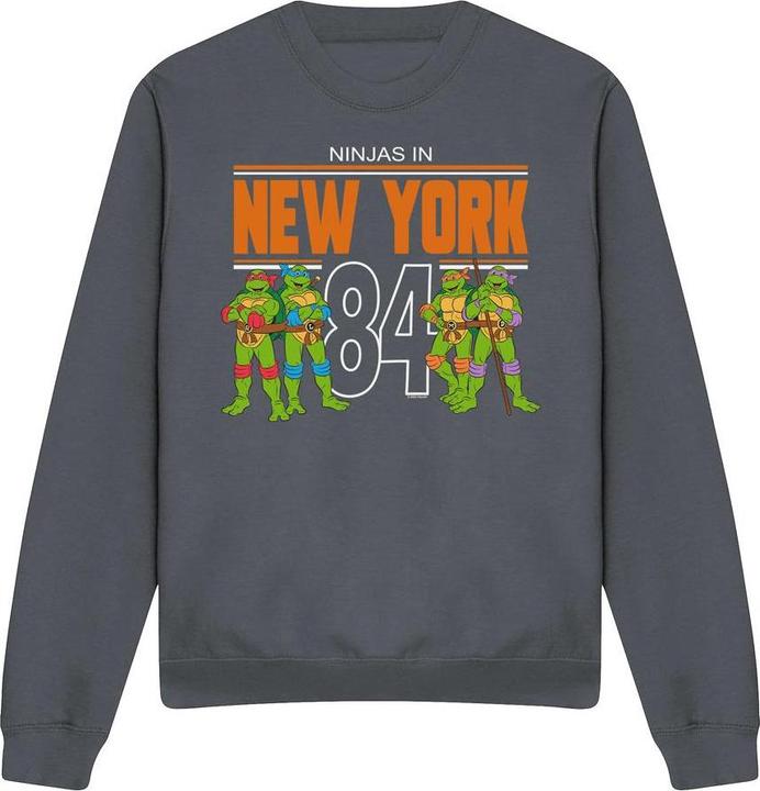 Teenage Mutant NT TMNT NYC Sweatshirt
