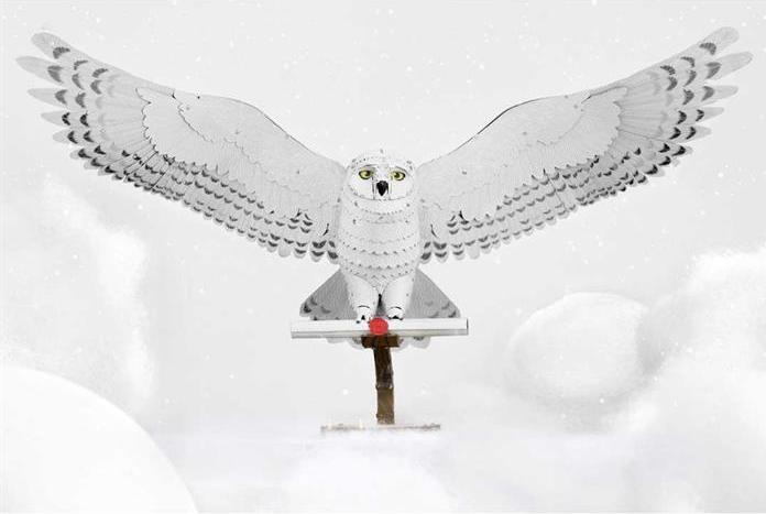 Produktbild Metal Earth Harry Potter Hedwig