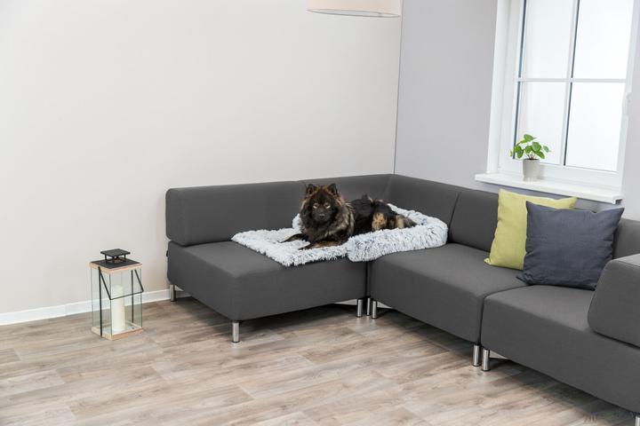 Image du produit Trixie Harvey (Chien)