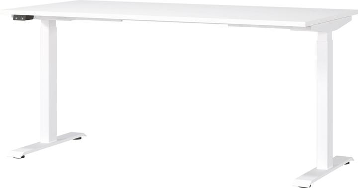 Actual product image Novel Fly (160 x 72 cm)