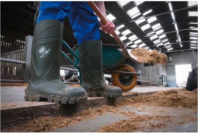 Actual product image Kerbl Safety boot S5 Bekina Steplite XCI Winter (S5, 44)