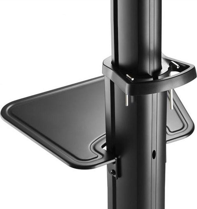 Actual product image Hagor BrackIT Stand Single (65 inch) (65", 70 kg)
