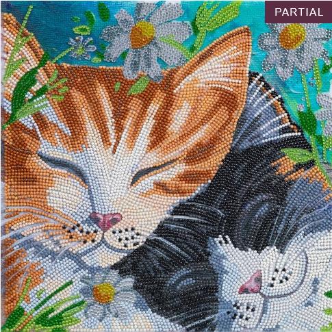 Produktbild Craft Buddy Schlafende Katzen, Bild 30x30cm Crystal Art