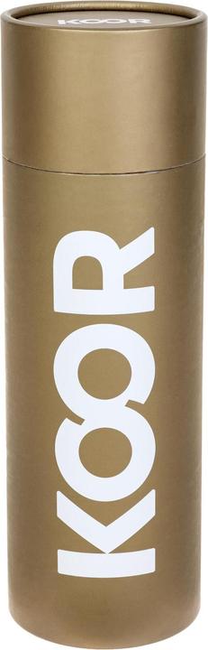 Produktbild Koor Trinkflasche Champagne 500 ml (0.50 l)