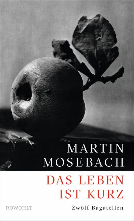 Immagine prodotto Das Leben ist kurz (Tedesco, Martin Mosebach, 2016)