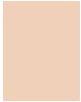 Produktbild L'Oréal Paris True Match (Rose)