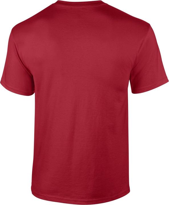 Actual product image Gildan Mens Ultra Cotton T-Shirt (S)