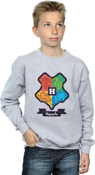 Immagine prodotto Hogwarts Junior Crest Felpa Ragazzi (140, 146)