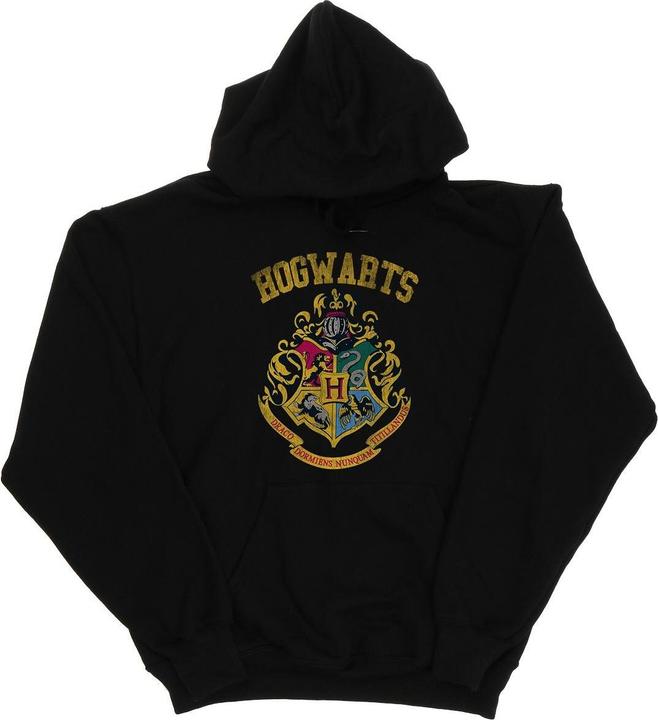 Image du produit - Sweat à capuche HOGWARTS VARSITY - Homme (3XL)