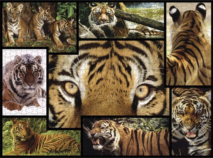 Immagine prodotto WWF Puzzle della tigre (1000 pezzi)