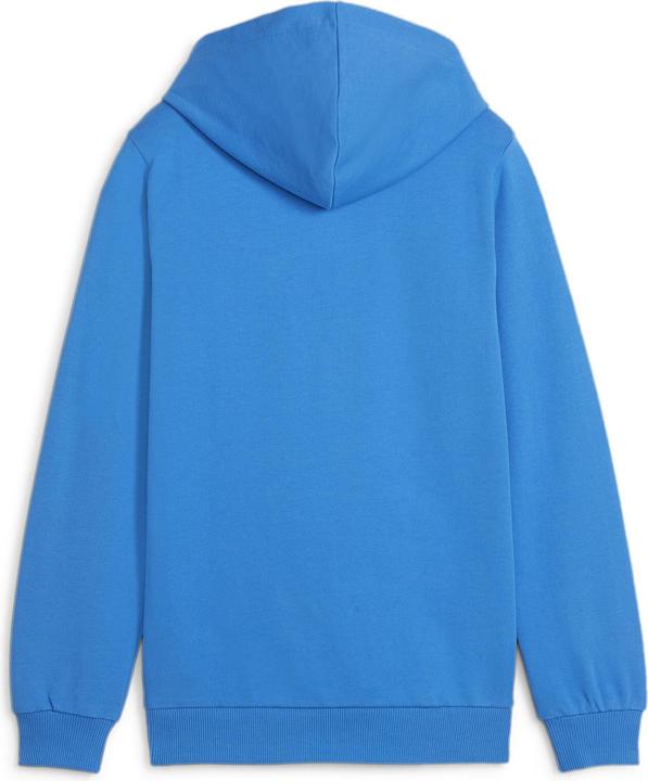 Actual product image Puma teamGOAL Casuals Hoody Jr (128)