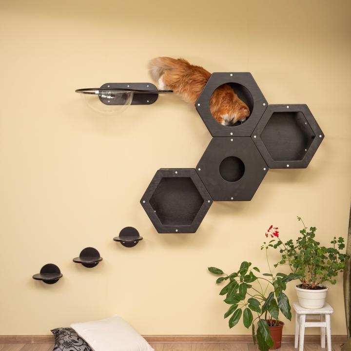 Immagine prodotto Wowhelperco Parete da arrampicata per gatti 8 pezzi (Nero)